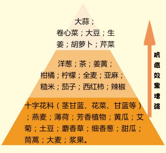 抗癌食物排行榜,第一名竟然是它(十大抗癌食物排名)
