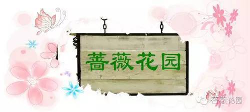 中年女人(中年美女)