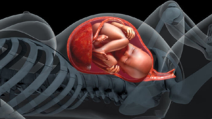 婴儿胎盘(婴儿几个月可以竖着抱了)