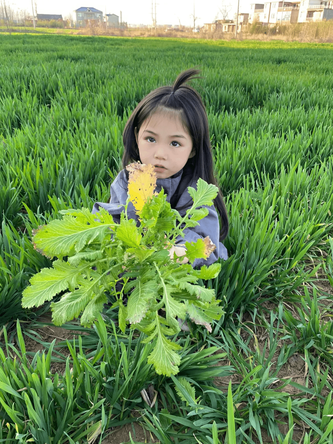 天使计划修改器怎么用(游戏修改器 游戏修改大师)