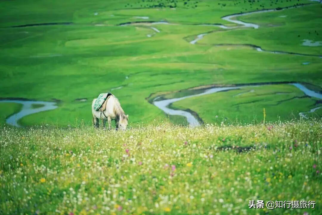 暑假去哪里旅游最好?(暑假去哪里玩最合适)