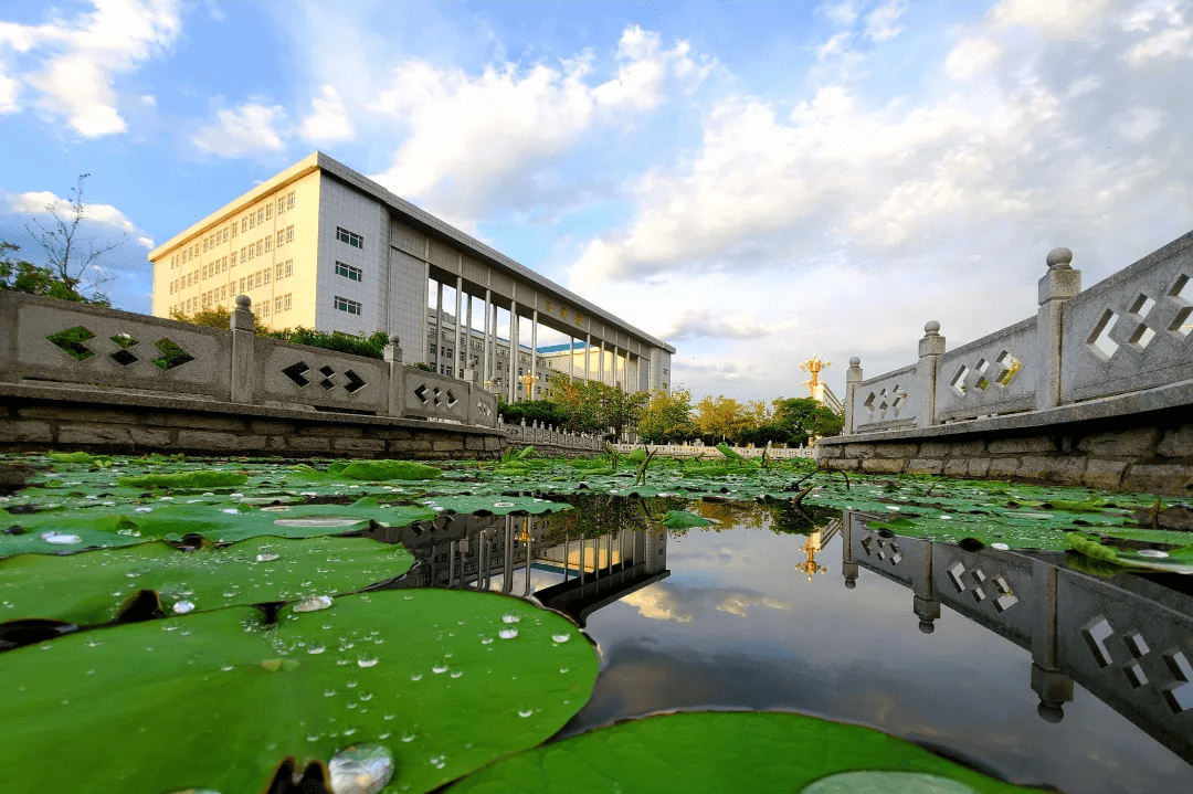 什么是工商管理学院(工商管理指的是哪方面)