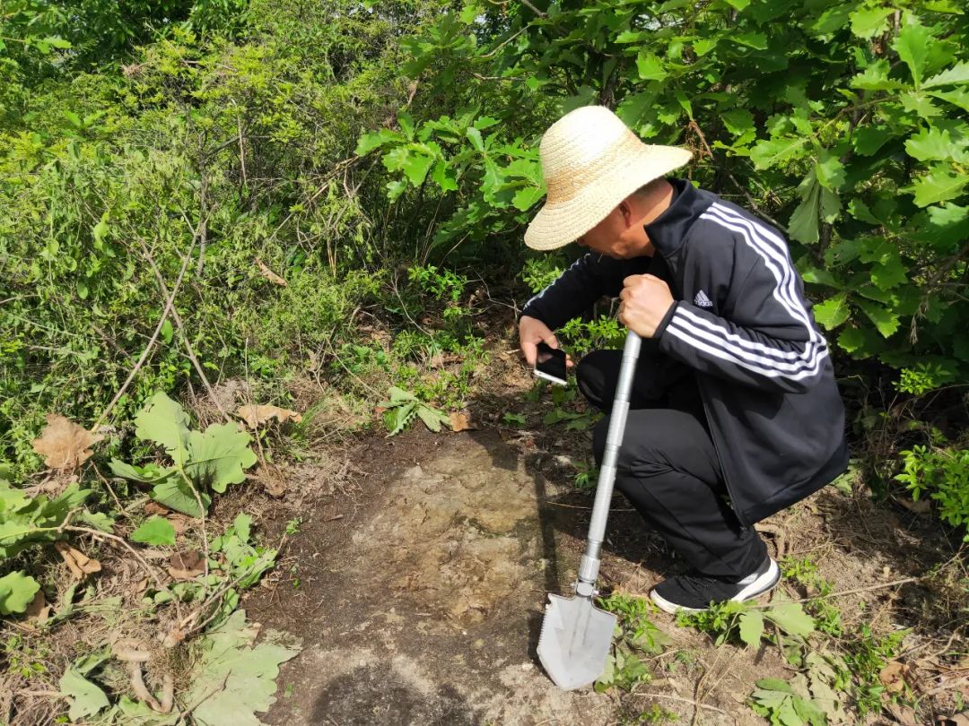 上山龙风水宝地(九龙缠顶风水宝地)