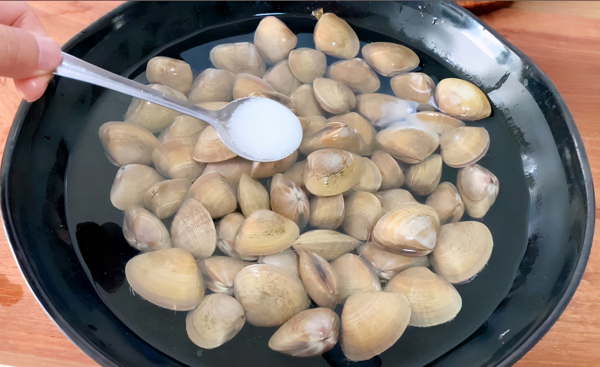 花甲怎么洗最快最干净(花甲的洗法最快的办法)