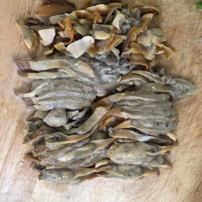 河蚌怎么做好吃家常(河蚌哪些部位能吃)