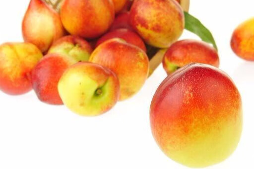 油桃可以孕妇吃吗(孕妇能吃桃子和油桃吗)