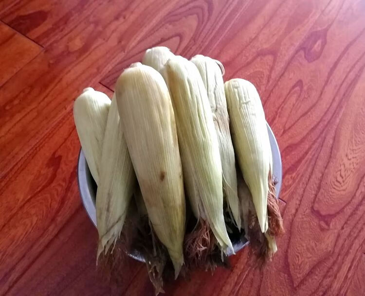老玉米(老玉米是什么意思)