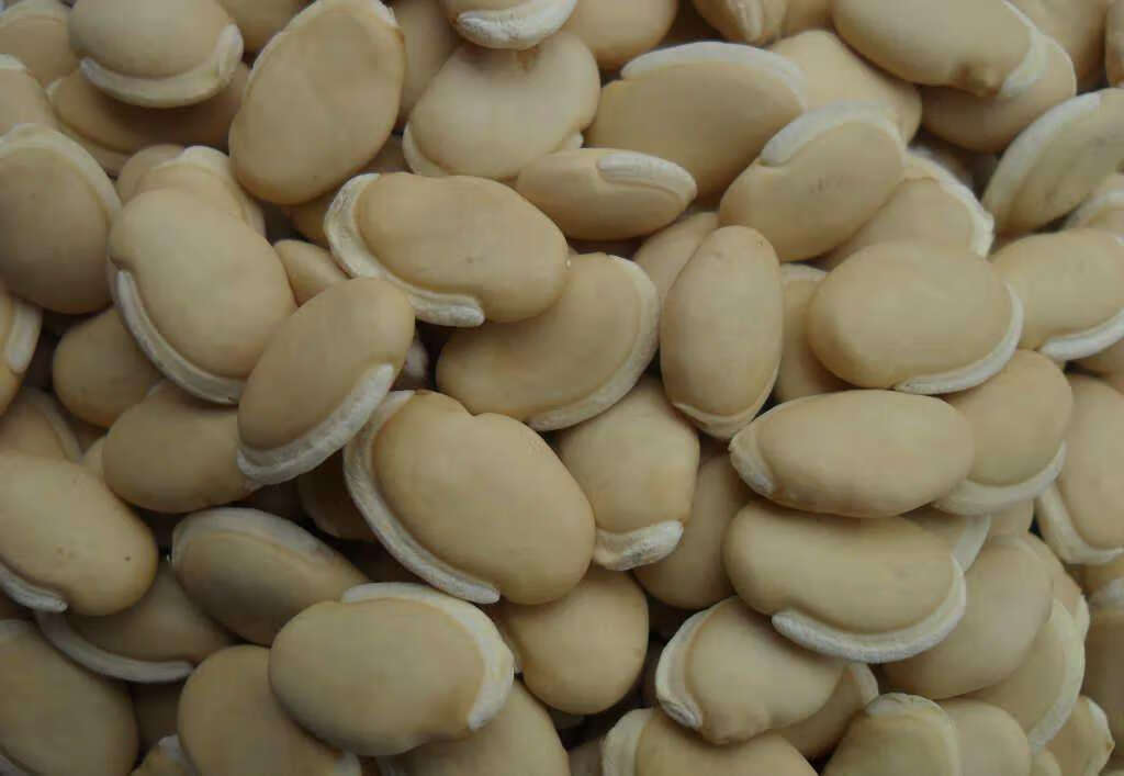白扁豆功效和作用及食用方法