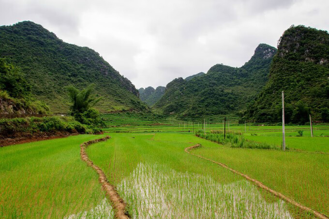 广西百色靖西风水宝地(广西风水宝地大全)