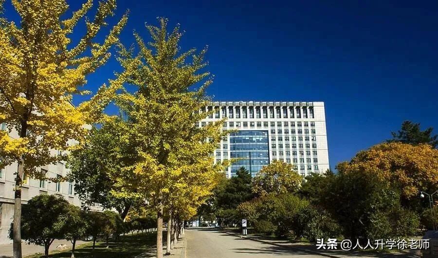 中国大学专业介绍网(专业介绍网站)