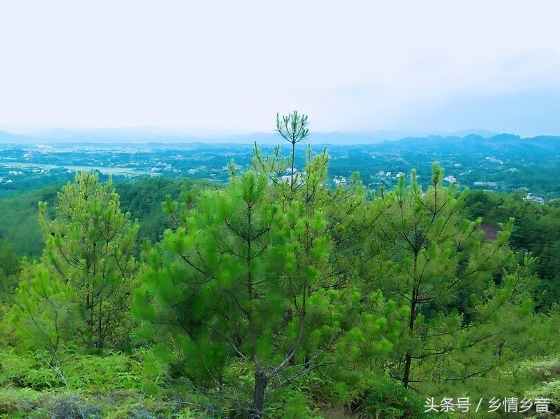 神奇的风水传说(风水真的很神奇)