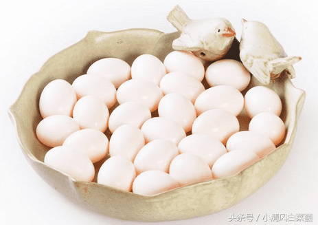 孕妇可以吃鸽子蛋吗?(怀孕期能吃鸽子蛋吗)