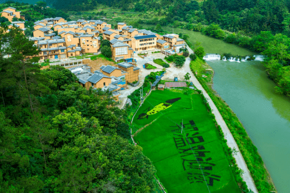 石塘镇沙江屯杨村独螺岭风水宝地仁化县石塘镇