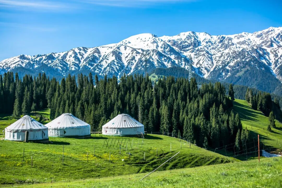 寒假适合去哪里旅游(寒假适合旅游的地方有哪些)