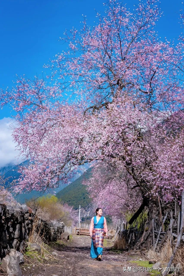 四月旅游推荐(6月旅游)