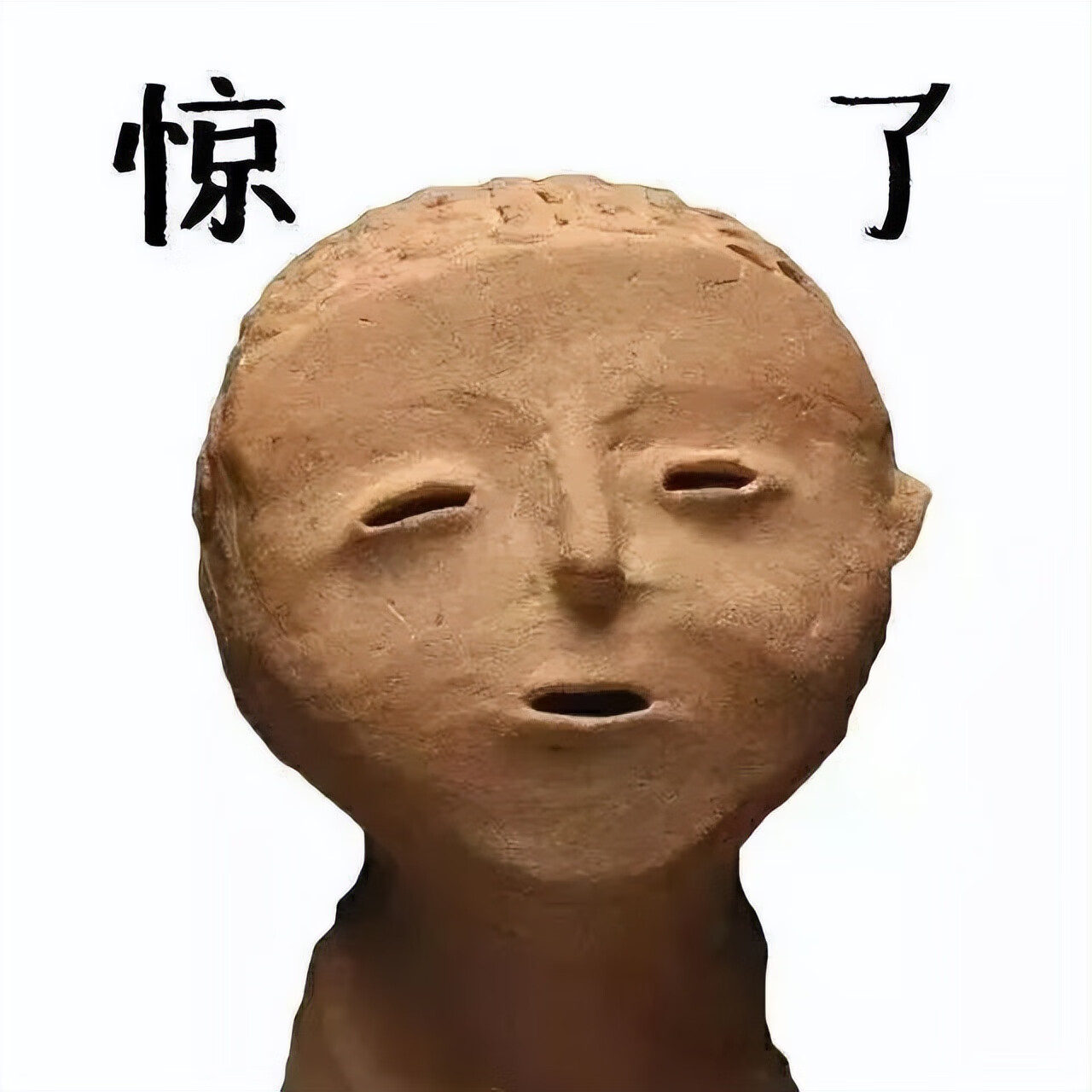 铁树花图片(铁树花多少钱一斤)