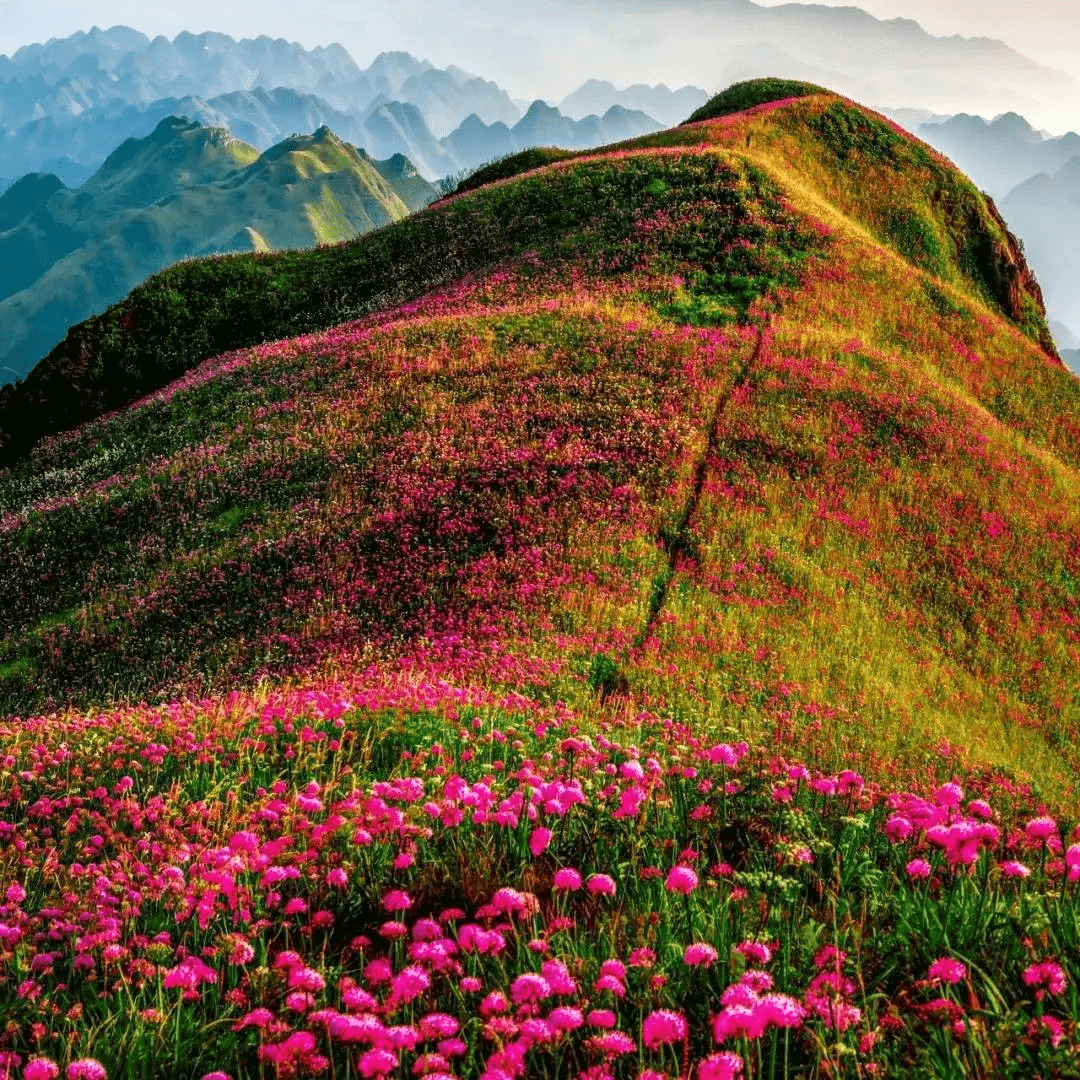 暑假去哪里旅游好玩呀(暑假去哪里玩最好)