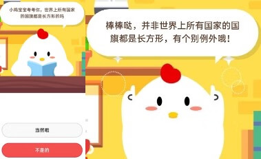 世界上所有国旗都是长方形的吗(国旗是长方形吗)