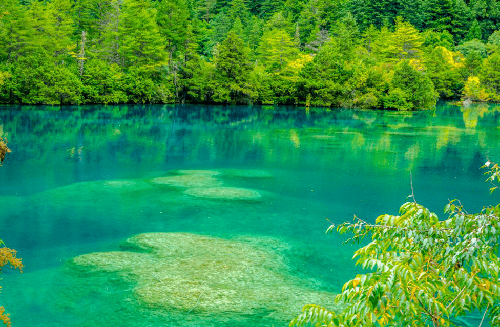 九寨沟地势特点图片(九寨沟景区图片大全)