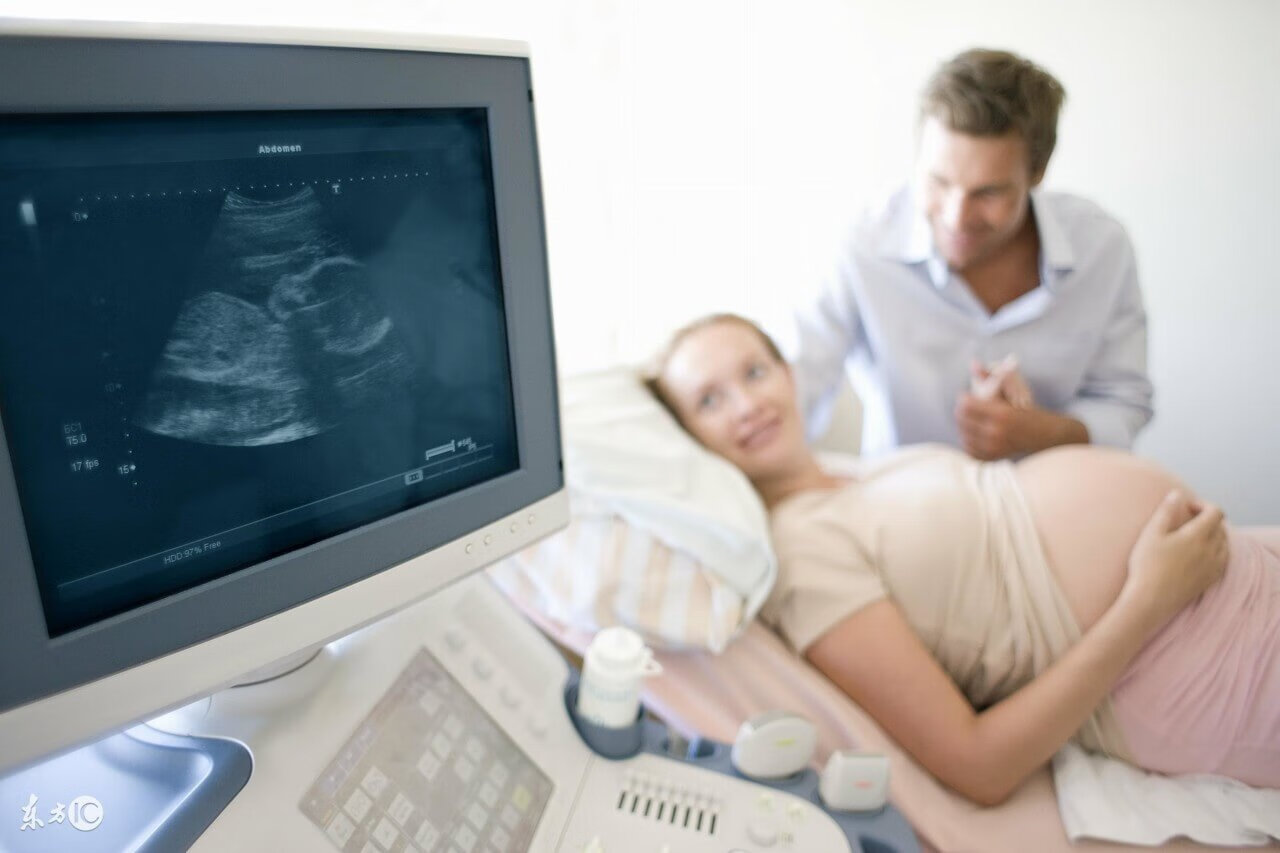 胎儿性别是从什么时候开始决定的(几周可以查出胎儿性别)