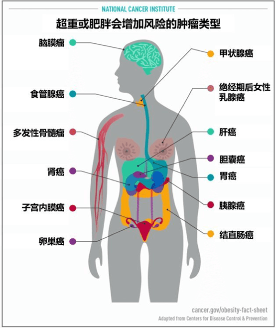 抗癌食物排行榜,第一名竟然是它(十大抗癌食物排名)