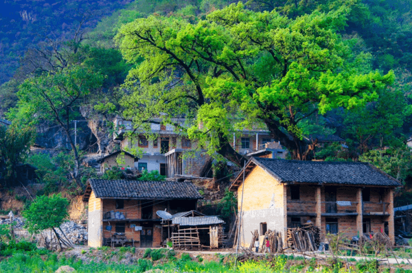 暑假去哪里旅游好玩呀(暑假去哪里玩最好)