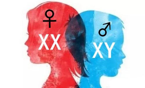 染色体异常是什么原因导致的(一般什么人染色体异常)
