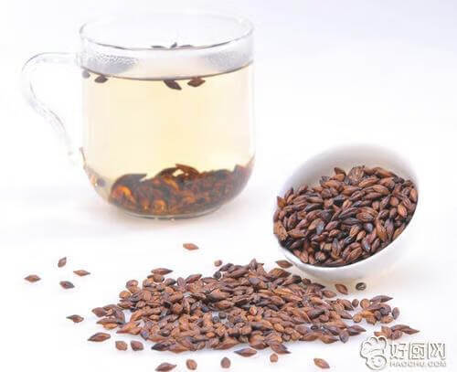 孕妇大麦茶吗(孕妇经常喝大麦茶好吗)