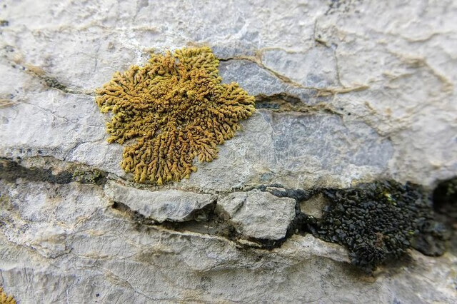 水与土的关系(水生土什么意思)