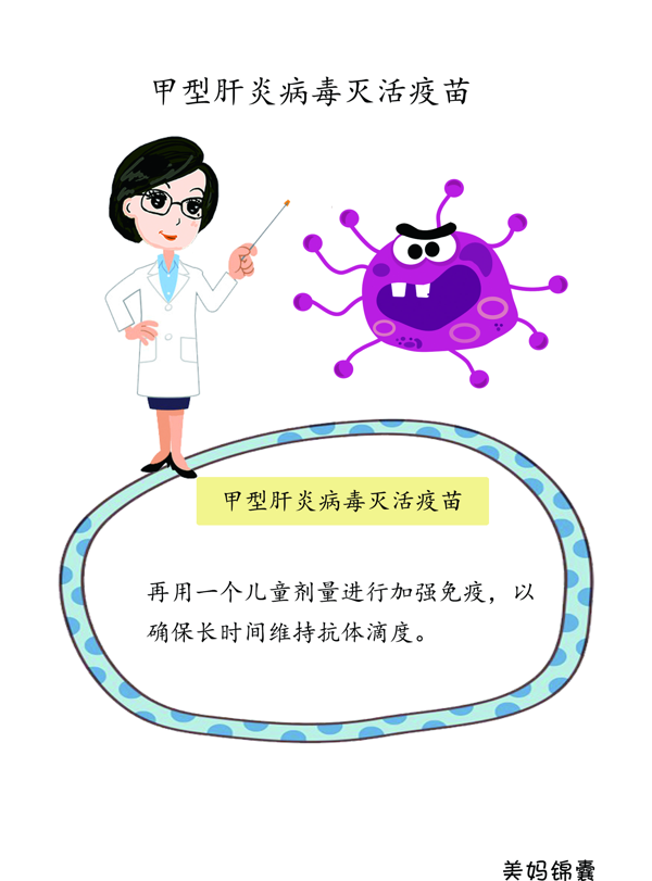 甲肝疫苗(甲肝乙肝疫苗)