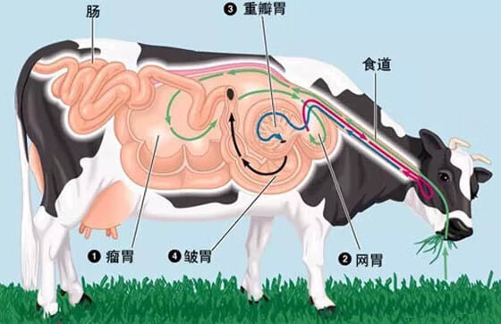孩子成绩差怎么办,教你一招(孩子成绩差怎么教育)