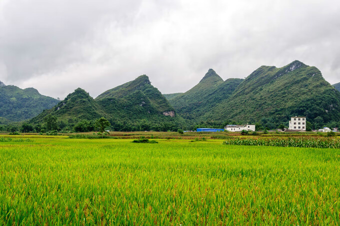 广西百色靖西风水宝地(广西风水宝地大全)