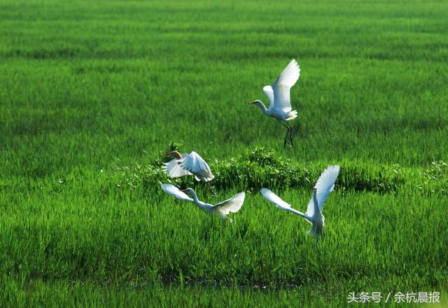 廣西來賓良塘風水寶地廣西梧州十大風水寶地