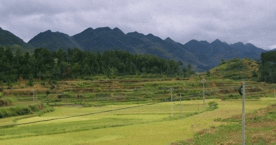 山地风水坟地讲解(山地看坟墓风水怎样看)