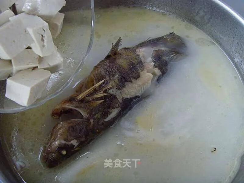 嘎鱼 营养价值(嘎鱼的营养价值高吗)