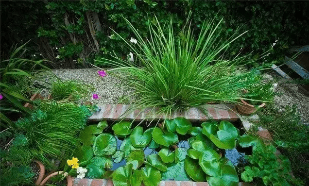 在房顶建水池可以吗风水(房屋后有水池风水好不好)