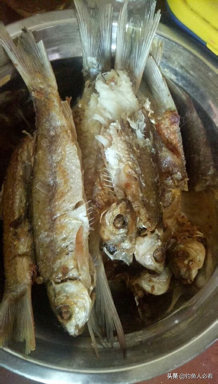 鲮鱼的做法大全(炸鲮鱼的做法大全)