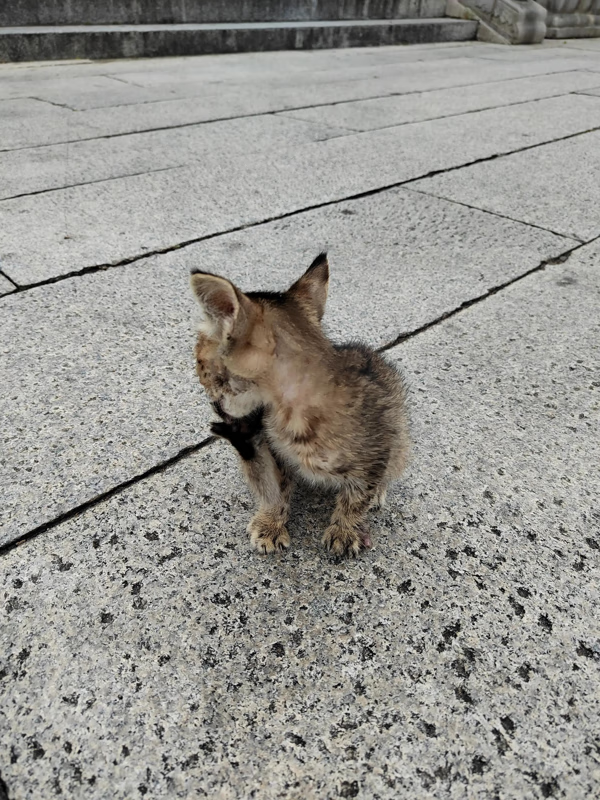 求领养孩子(2022有没有人要领养宝宝)