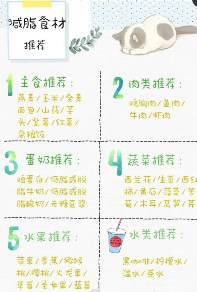 减肥计划表格详细(减肥训练计划表)
