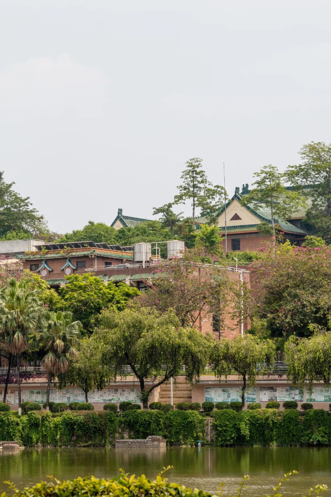 五山校区在哪(五山校区在哪个区)