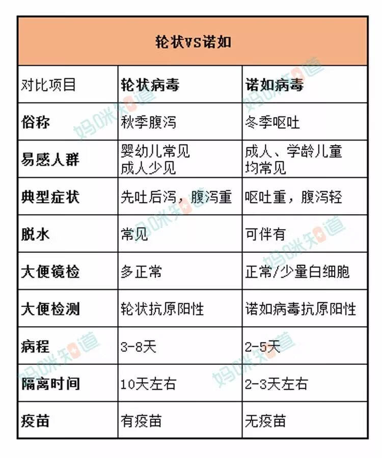 轮状病毒腹泻的特点包括(轮状病毒性腹泻大便图)