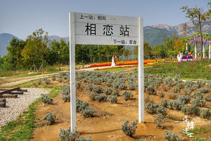 山谷的风水(全球各国风水)