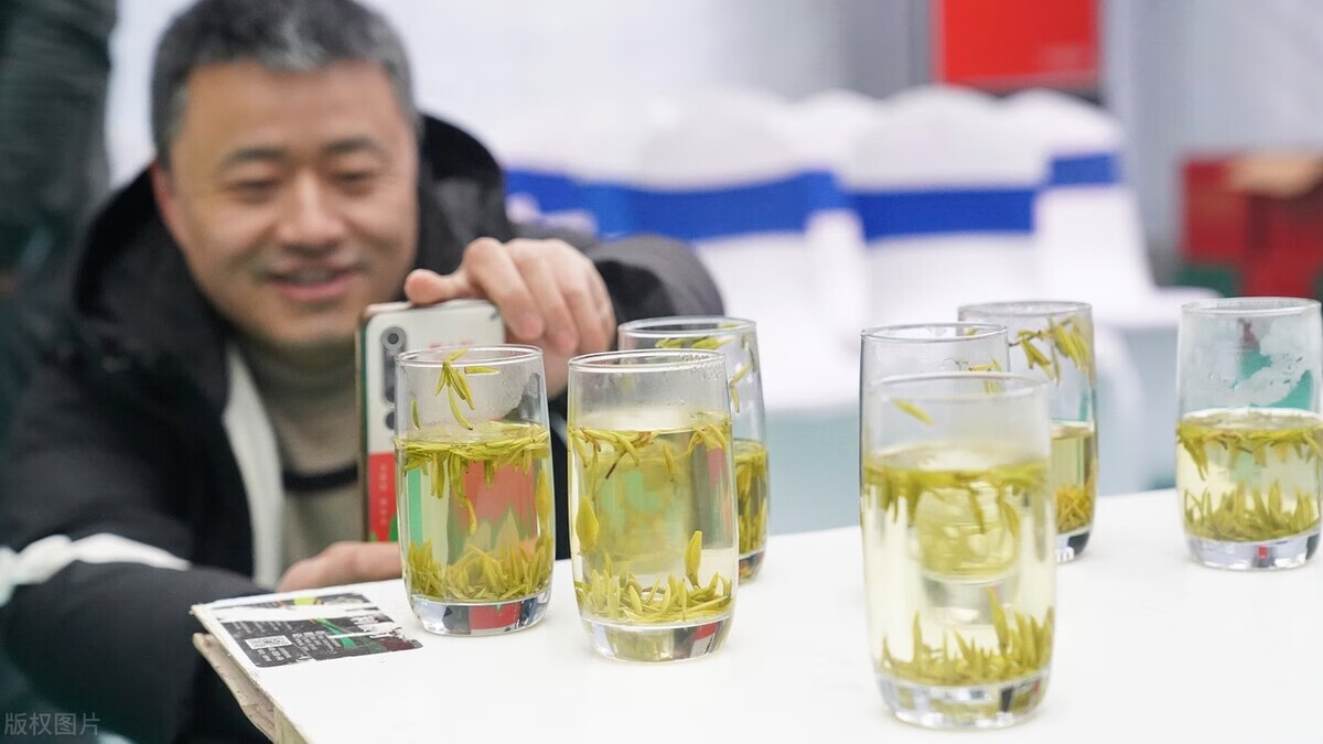 什么人不适合喝绿茶?(绿茶不适合哪些人群喝)
