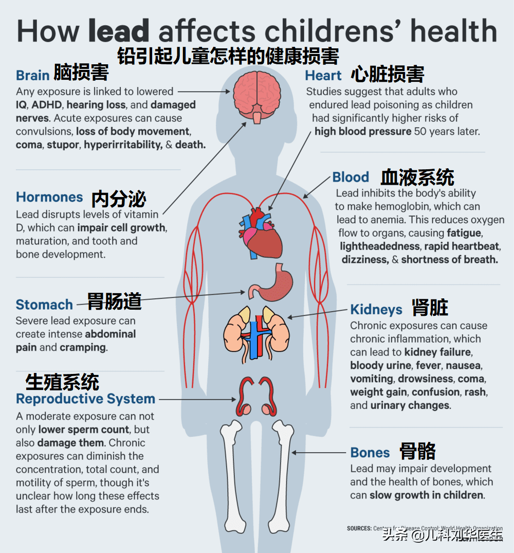 铅超标的症状有哪些(铅超标有什么症状和危害)