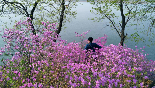 吉林松花湖风景(吉林松花湖国家风景名胜区)