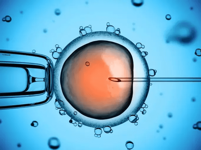 生物学父亲是什么意思(生物学父亲指的什么意思)