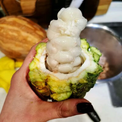 怎么制作巧克力(怎么用巧克力做巧克力)