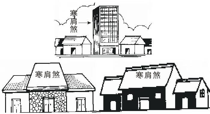 异型屋顶看风水(屋顶形状有讲究)-百科学社