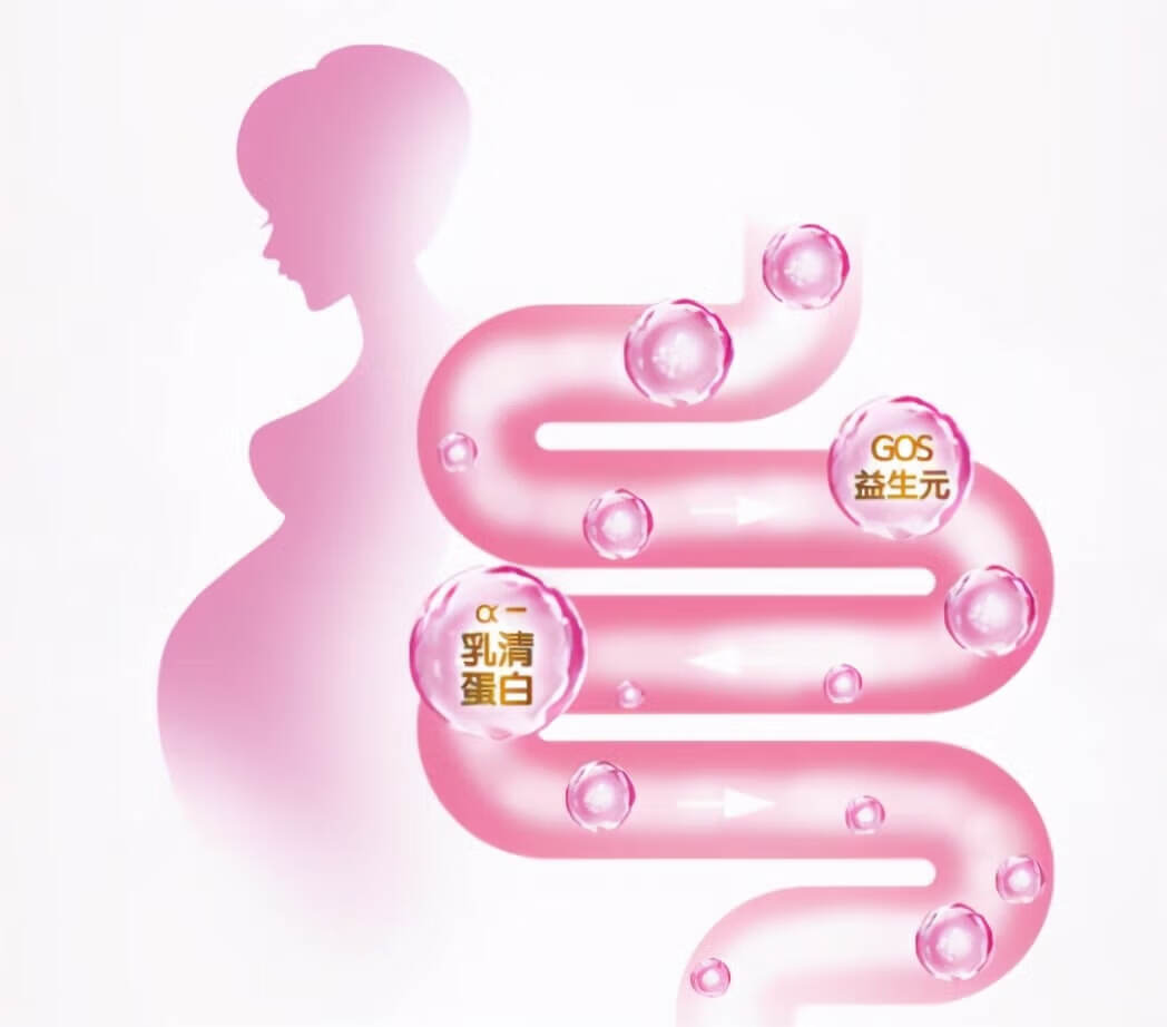 女士奶粉哪个好(哪款女士奶粉比较好)