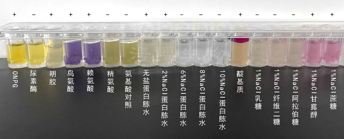 霍乱菌株(霍乱病毒)